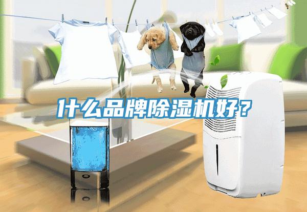 什么品牌除濕機好？