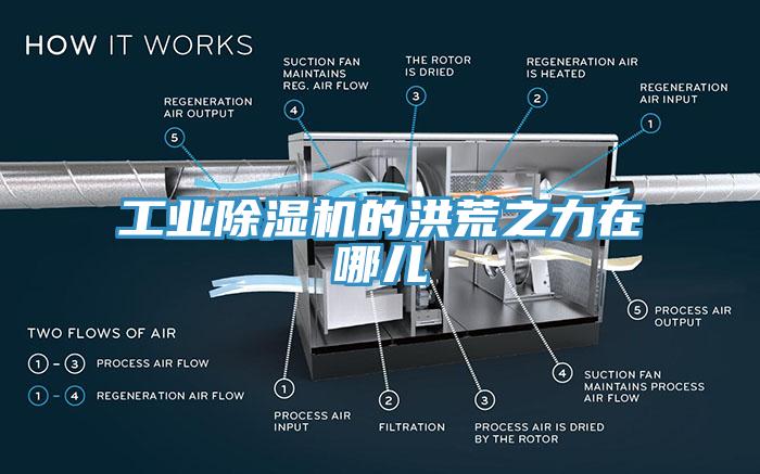 工業除濕機的洪荒之力在哪兒