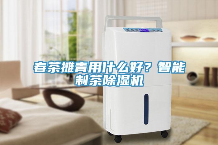 春茶攤青用什么好？智能制茶除濕機