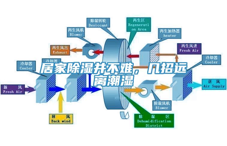 居家除濕并不難，幾招遠(yuǎn)離潮濕