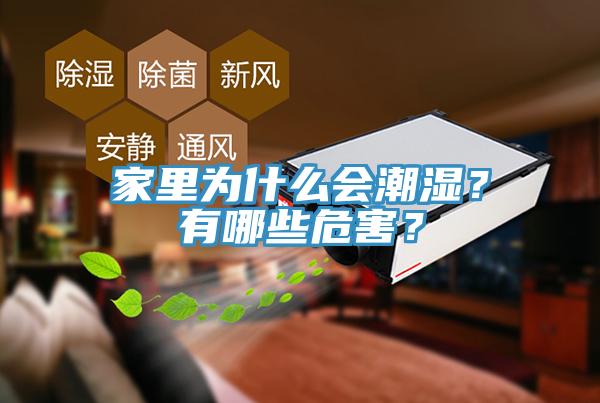 家里為什么會潮濕？有哪些危害？