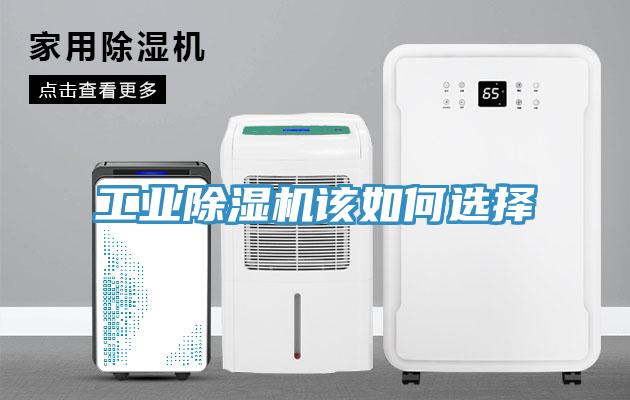 工業除濕機該如何選擇