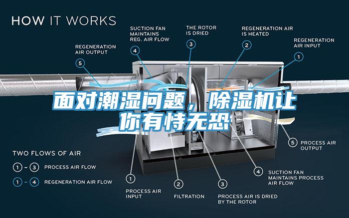 面對(duì)潮濕問題，除濕機(jī)讓你有恃無恐