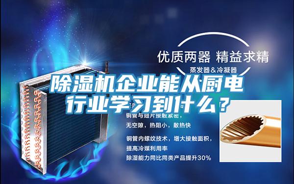 除濕機企業(yè)能從廚電行業(yè)學習到什么？