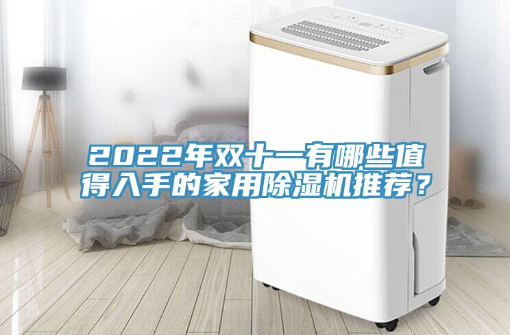 2022年雙十一有哪些值得入手的家用除濕機推薦？