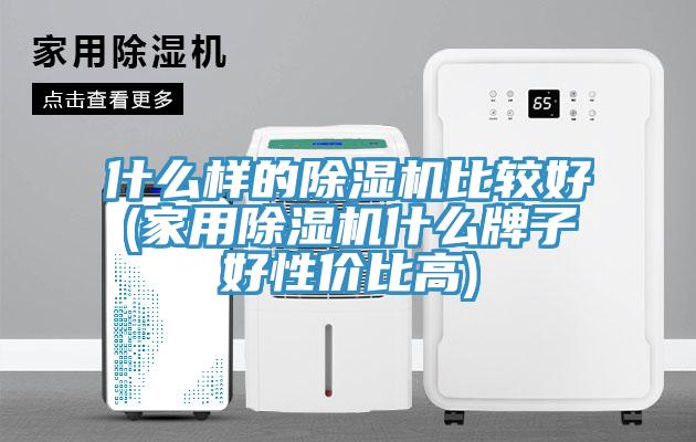 什么樣的除濕機比較好(家用除濕機什么牌子好性價比高)