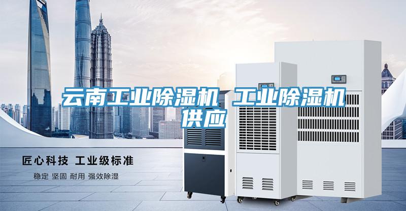 云南工業除濕機 工業除濕機供應