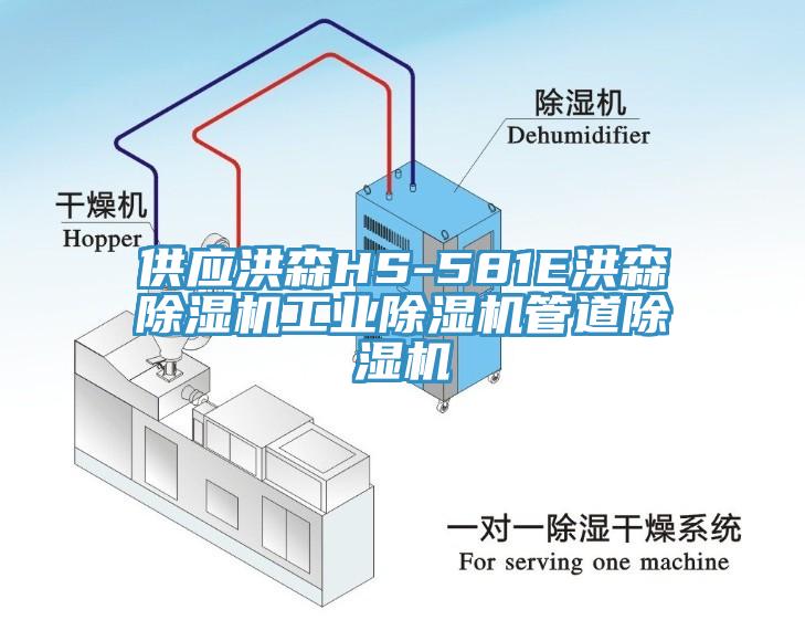 供應洪森HS-581E洪森除濕機工業除濕機管道除濕機