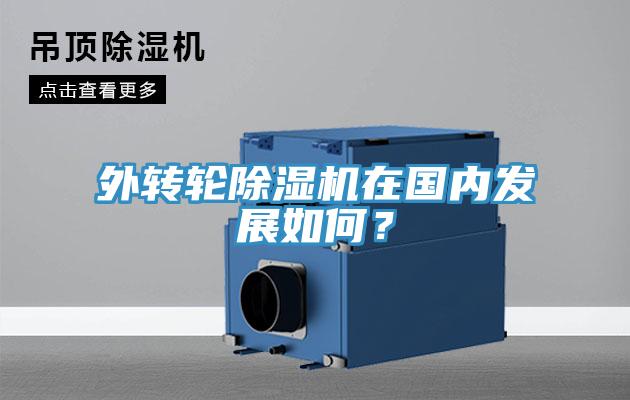 外轉輪除濕機在國內發展如何？