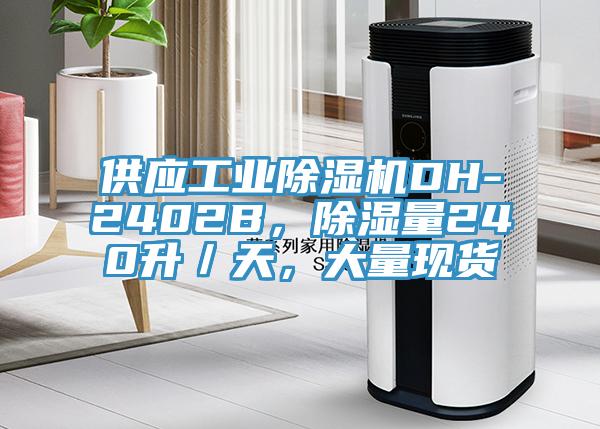 供應工業除濕機DH-2402B，除濕量240升／天，大量現貨