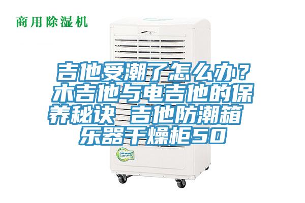 吉他受潮了怎么辦？木吉他與電吉他的保養秘訣 吉他防潮箱 樂器干燥柜50