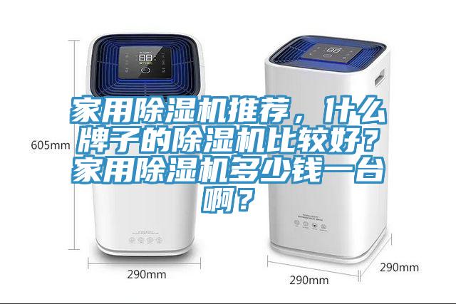 家用除濕機推薦，什么牌子的除濕機比較好？家用除濕機多少錢一臺啊？