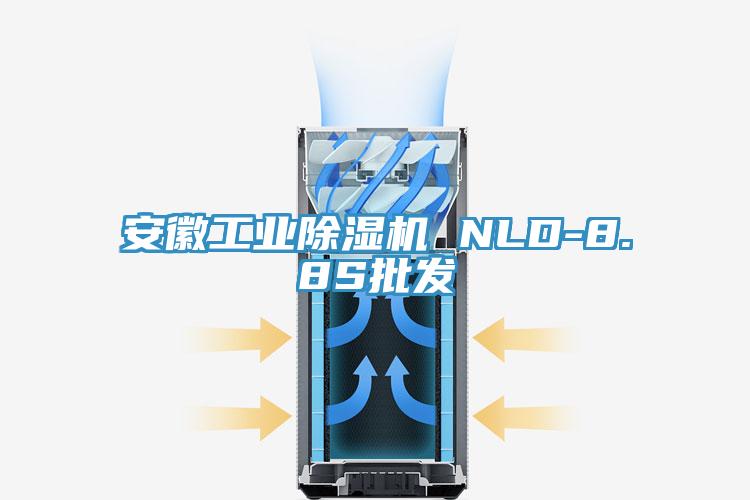 安徽工業除濕機 NLD-8.8S批發