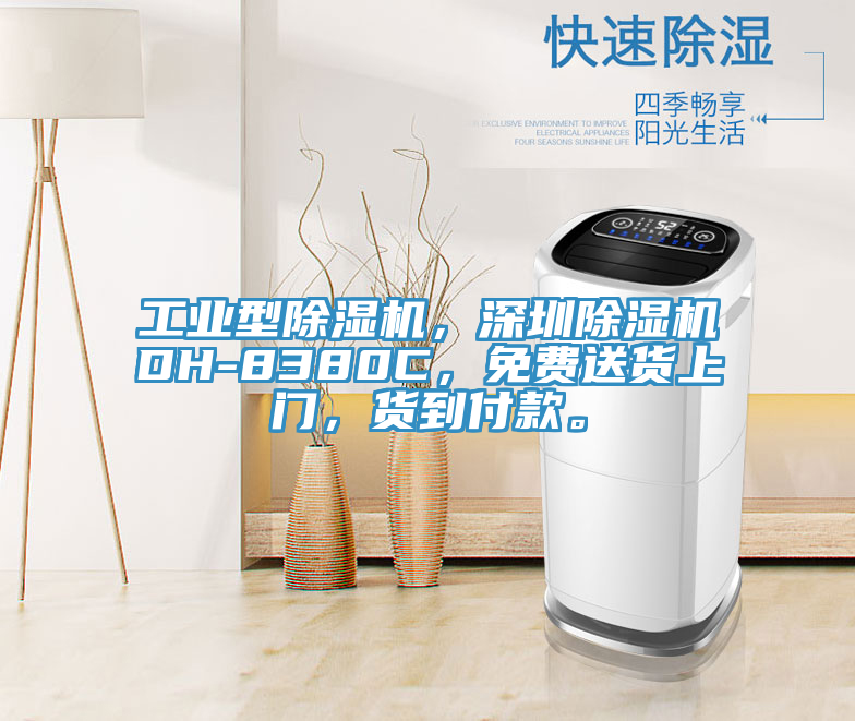 工業(yè)型除濕機(jī)，深圳除濕機(jī)DH-8380C，免費(fèi)送貨上門，貨到付款。