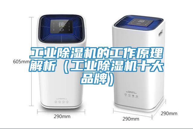 工業除濕機的工作原理解析（工業除濕機十大品牌）