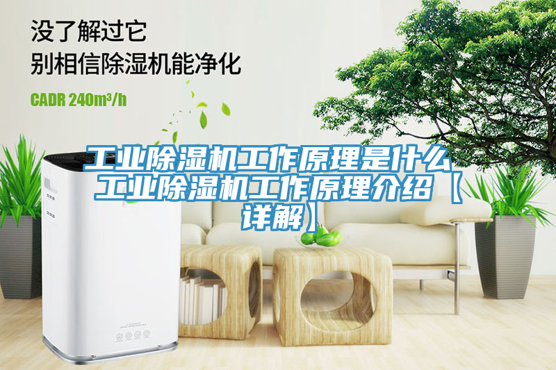 工業除濕機工作原理是什么 工業除濕機工作原理介紹【詳解】