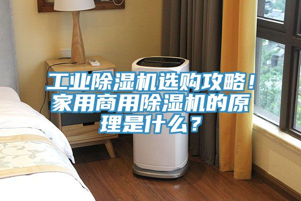 工業除濕機選購攻略！家用商用除濕機的原理是什么？