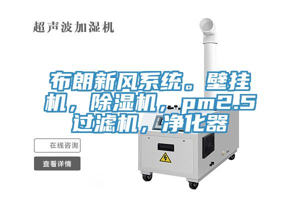 布朗新風(fēng)系統(tǒng)。壁掛機(jī)，除濕機(jī)，pm2.5過濾機(jī)，凈化器