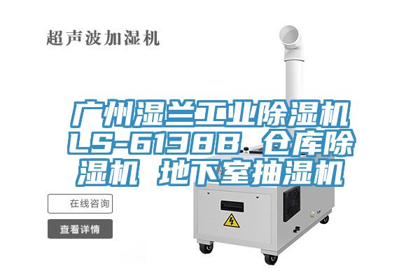 廣州濕蘭工業除濕機LS-6138B 倉庫除濕機 地下室抽濕機