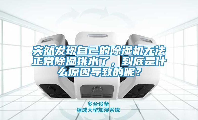 突然發現自己的除濕機無法正常除濕排水了，到底是什么原因導致的呢？