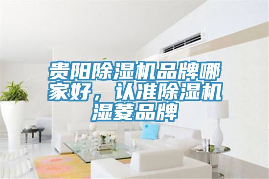 貴陽除濕機品牌哪家好，認準除濕機濕菱品牌