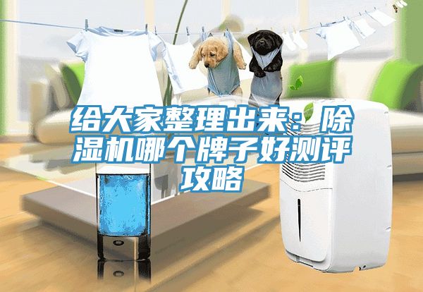 給大家整理出來：除濕機(jī)哪個牌子好測評攻略