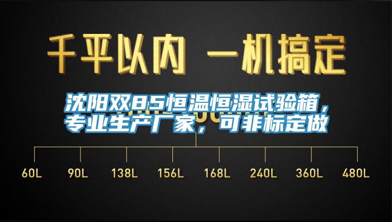 沈陽雙85恒溫恒濕試驗(yàn)箱，專業(yè)生產(chǎn)廠家，可非標(biāo)定做