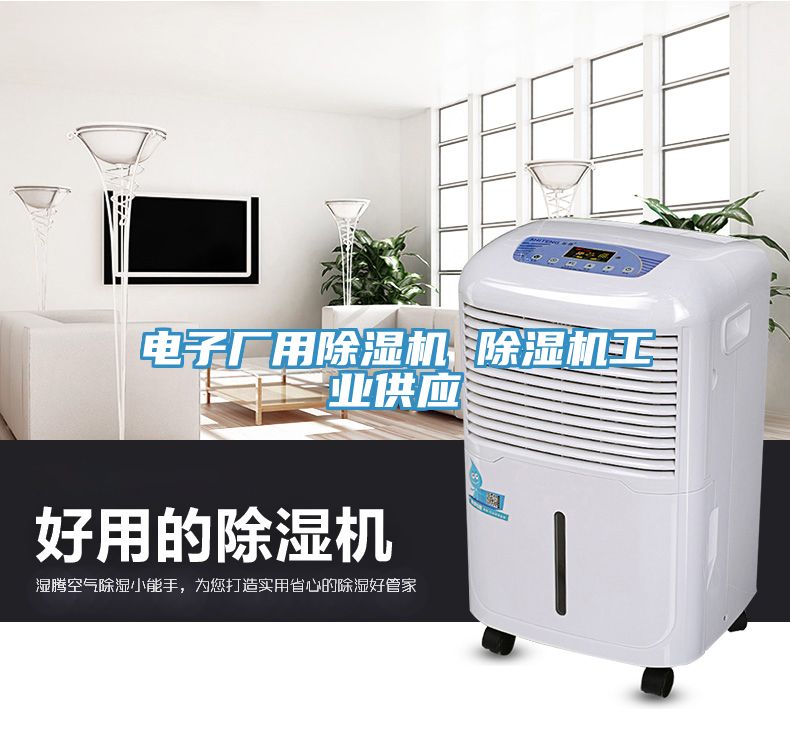 電子廠用除濕機 除濕機工業供應