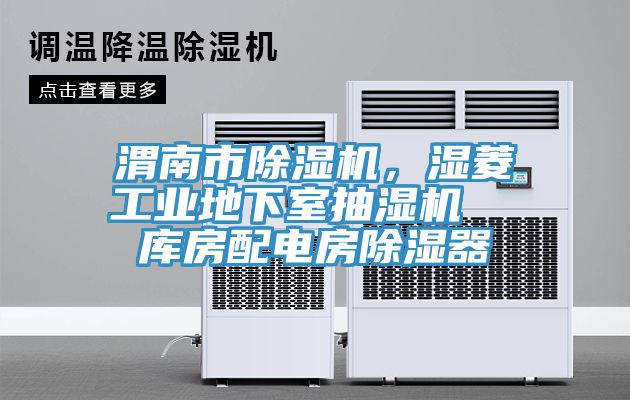 渭南市除濕機(jī)，濕菱工業(yè)地下室抽濕機(jī)  庫(kù)房配電房除濕器