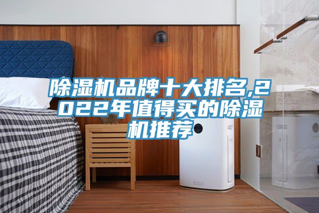 除濕機(jī)品牌十大排名,2022年值得買(mǎi)的除濕機(jī)推薦