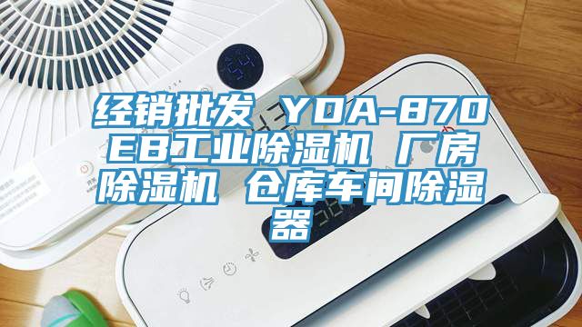 經銷批發 YDA-870EB工業除濕機 廠房除濕機 倉庫車間除濕器