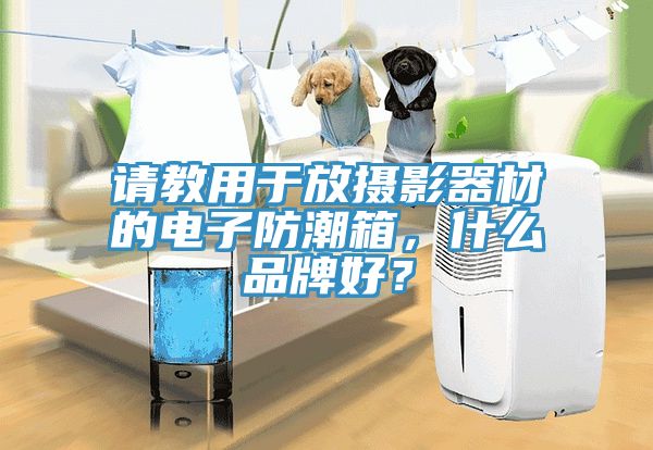 請教用于放攝影器材的電子防潮箱，什么品牌好？