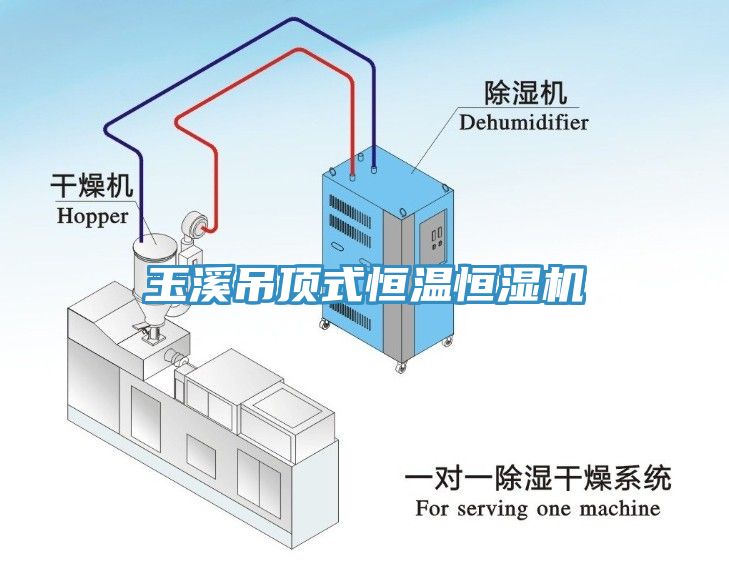 玉溪吊頂式恒溫恒濕機(jī)