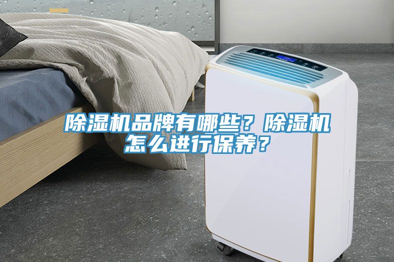 除濕機品牌有哪些？除濕機怎么進行保養(yǎng)？