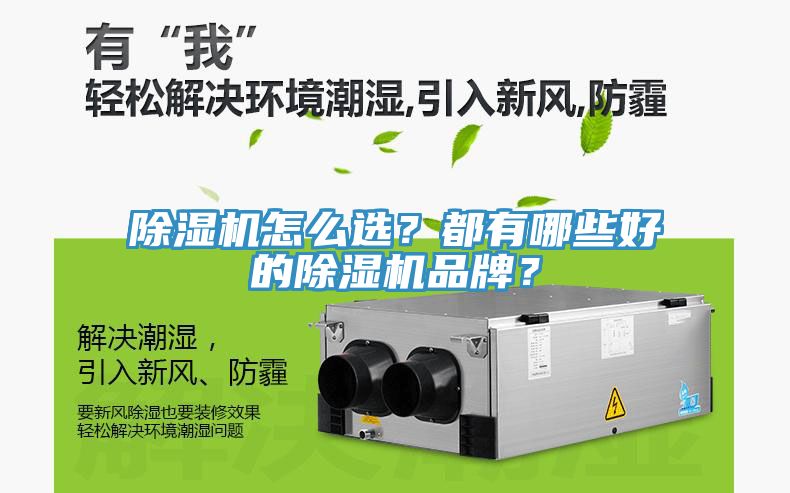 除濕機怎么選？都有哪些好的除濕機品牌？